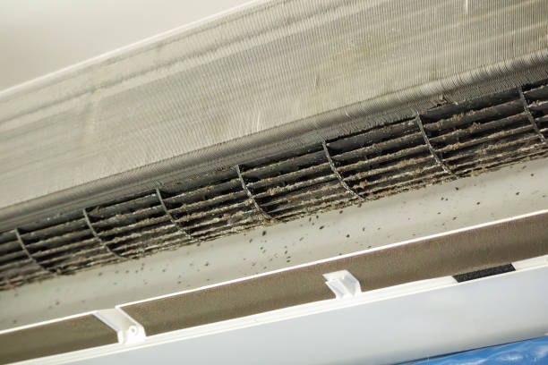 Best Commercial Air Duct Cleaning  in Nederland, TX