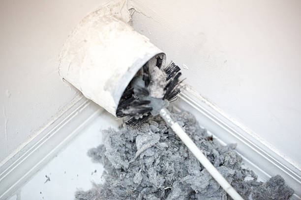 Best Local Air Duct Cleaning Services  in Nederland, TX
